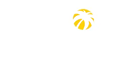Florida Society of Plastic Surgeons — Dr. Itzhak Nir